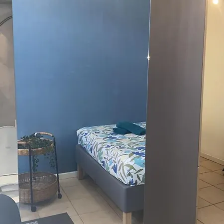 Cocooning_centre-ville_gare_chu * ריימס